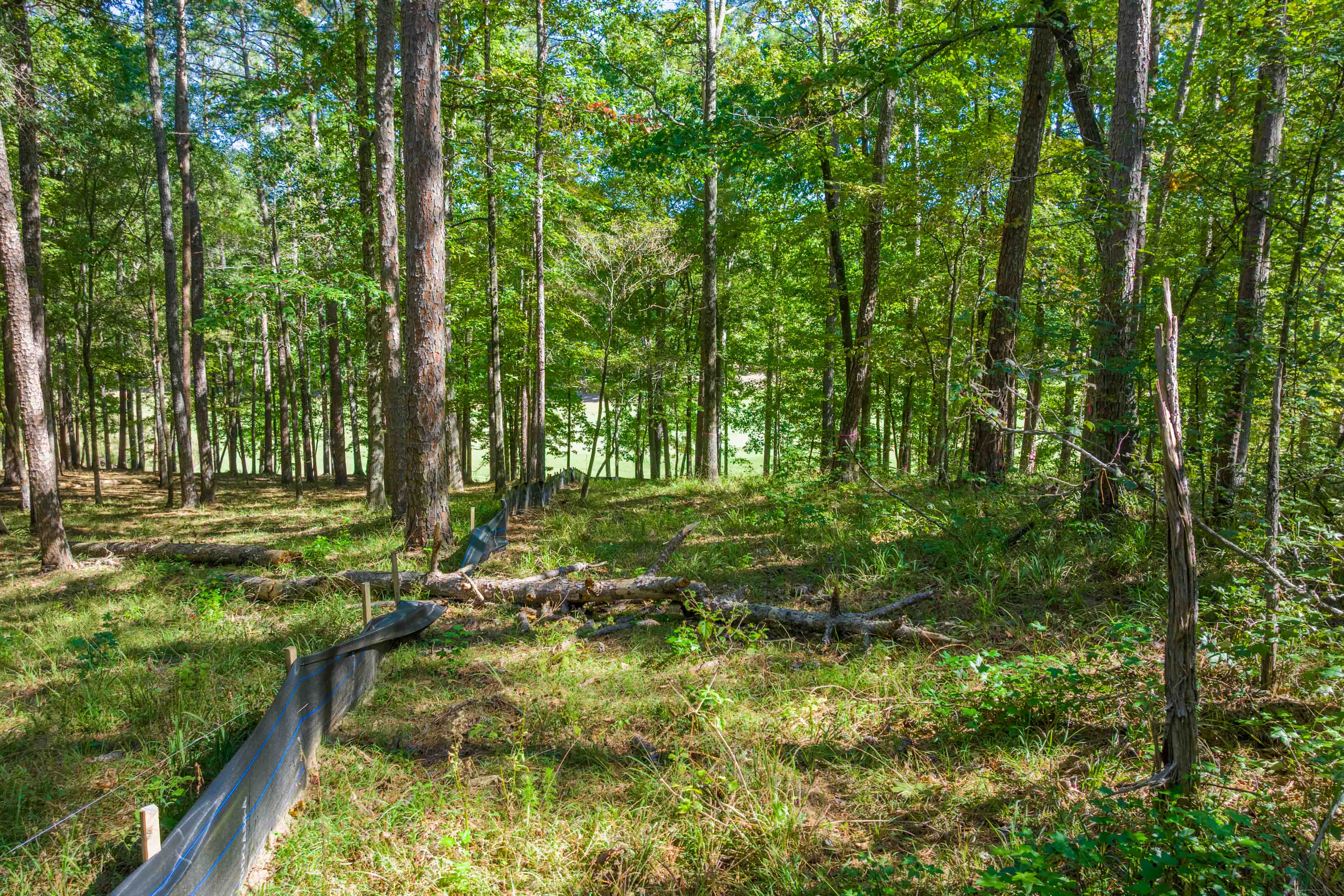 1200 Callahan's Ridge Road image 10